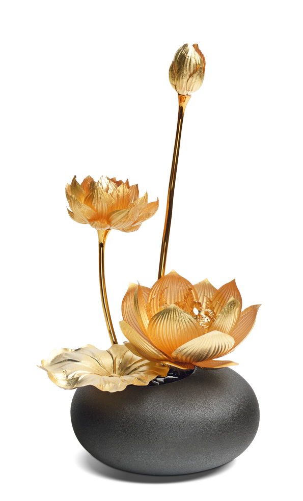 Golden Bonsai Collection - GoldenMaster